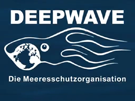 Deepwave.org: Was machen wir konret?